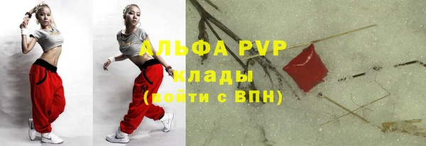 соль ск Волосово