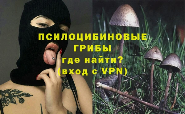 соль ск Волосово