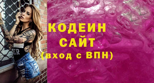 соль ск Волосово