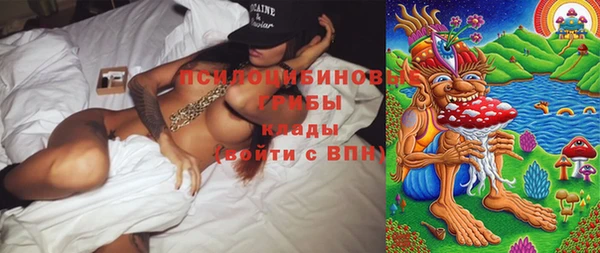 бошки Горняк