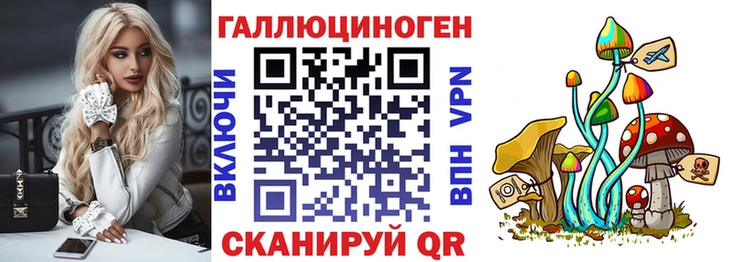 закладка  Енисейск  Галлюциногенные грибы мицелий 